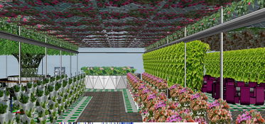 4448平方米联栋温室型药草雾培工厂及茶餐厅设计